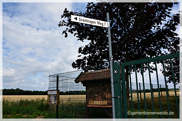 Wildbienenstand