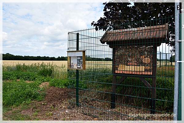 Wildbienenstand